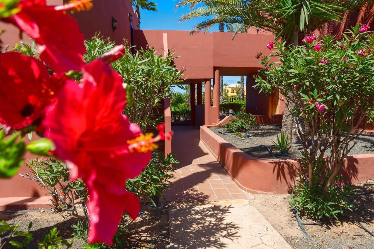 Apartmán La Rosa Dei Venti Corralejo Exteriér fotografie